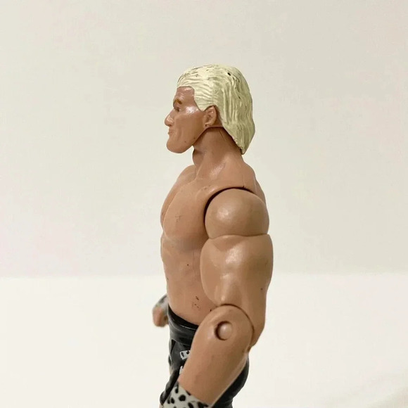 2010 Mattel  WWE Wrestling Dolph Ziggler Figure WWF WCW - Picture 5 of 16